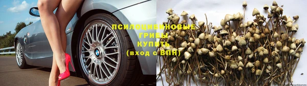 ECSTASY Абдулино